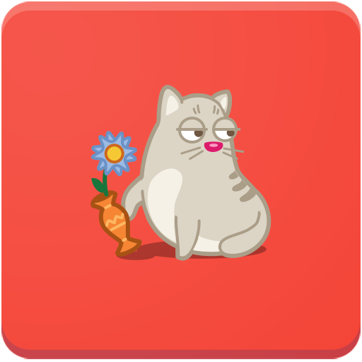 Funny Cat Pictures