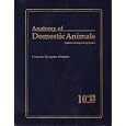 Anatomy of Domestic Animals: Systemic & Regional Approach