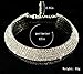 Fit&Wit Crystal Rhinestone Collar Choker Bridal Wedding Jewelry Necklace Silver
