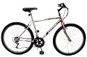 Titan Mens Pioneer Mountain Bike