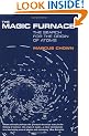 The Magic Furnace: The Search for the Origins of Atoms