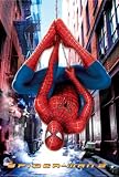 Spiderman 2 - Movie Poster (Size: 27'' x 40'')