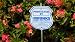 1 Brinks Home Security Alarm System Yard Sign With Post