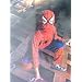 Spiderman Kids Outfit/Fancy Dress Uniform Small Age 3-4