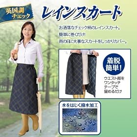 �p�����@�`�F�b�N�@���C���X�J�[�g