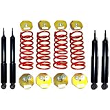 1995-2002 Land Rover Discovery 4-Wheel Air Suspension Conversion Kit with 4 Shocks by Strutmasters