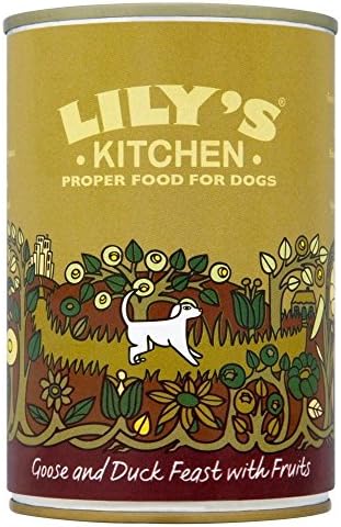 Lily's Kitchen Proper Dog Food Goose & Duck Feast with Organic Fruits (400g)