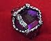 Katekyo Hitman Reborn Cosplay Costume Accessories - Vongola Gem Ring of Cloud