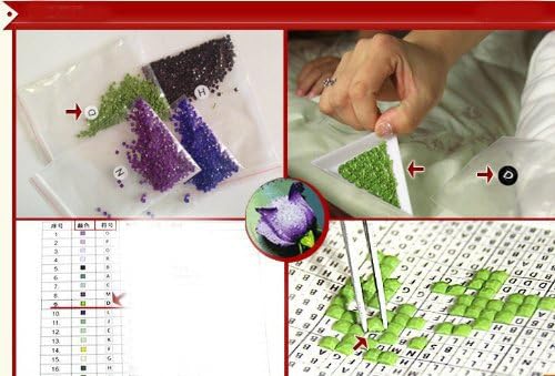 Color image water droplets bead Stone Roses Red DIY (japan import)