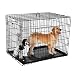 Pet Trex Premium Quality 36" Folding Pet Crate Kennel Wire Cage for Dogs Cats or Rabbits