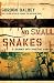 No Small Snakes: A Journey Into Spiritual Warfare
