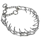 Spiked Training Collar - Large