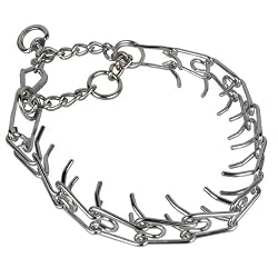 Spiked Training Collar - Large