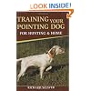 Training Your Pointing Dog for Hunting and Home