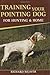 Training Your Pointing Dog for Hunting & Home