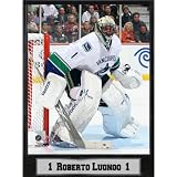 Vancouver Canucks Roberto Luongo 9x12 Photo Plaque Case Pack 14