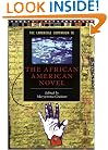 The Cambridge Companion to the African American Novel (Cambridge Companions to Literature)