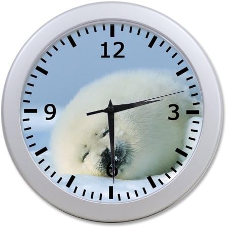 So Wonderful!Seal animal Patterns 9.65" elegant wall clock Unique Design for Home Decoration! (2 border colours optional)