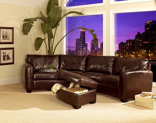 Contemporary Style Jade Brown Leather Media Sectional Sofa
