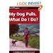 My Dog Pulls - What Do I Do?