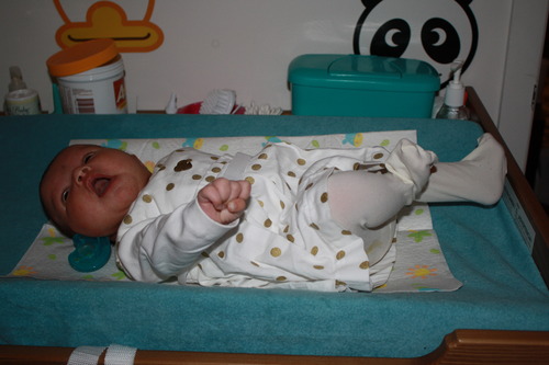Summer Infant Contoured Changing Pad