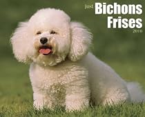 Just Bichons Frises 2010 Calendar (Multilingual Edition)