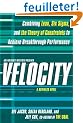 Velocity: Combining Lean, Six Sigma and the Theory of Constraints to Accelerate Business Improvement - A Business Novel