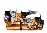 LittleGifts Cat Lover Mousepad & Coaster Set