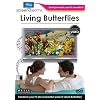 Living Butterflies