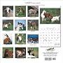 Goats 2008 Square Wall Calendar Goats 2008 Square Wall Calendar