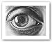 The Eye by M.C. Escher 17"x12.5" Art Print Poster