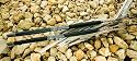 St. Croix: Triumph Saltwater Conventional Model: TSWC70HF (7', h)