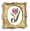 genus Tulipa 7 - Gold Frame Magnet with pop-out easel (2-3/4" x 2-1/2")