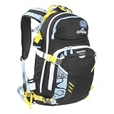 Dakine Team Heli Pro Dlx 20L