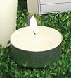Ivory Citronella Tealight Candles (set of 16)