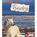 Explore the Tundra (Explore the Biomes series)