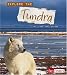 Explore the Tundra (Explore the Biomes series)