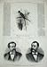 1876 Chestnut-Backed Coly Hawley Goshorn America Men