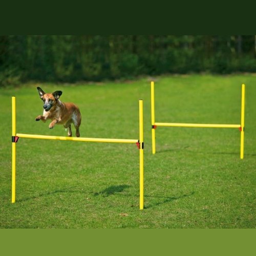 Karlie 31854 2er-Set Agility H&uuml;rden 14-teilig, h&ouml;henverstellbar
