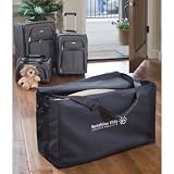 Sunshine Kids Travel - Bag