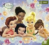 2011 Fairies Wall Calendar