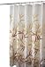 InterDesign Anzu Shower Curtain, Brown