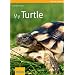 My Turtle (My Pet Series)