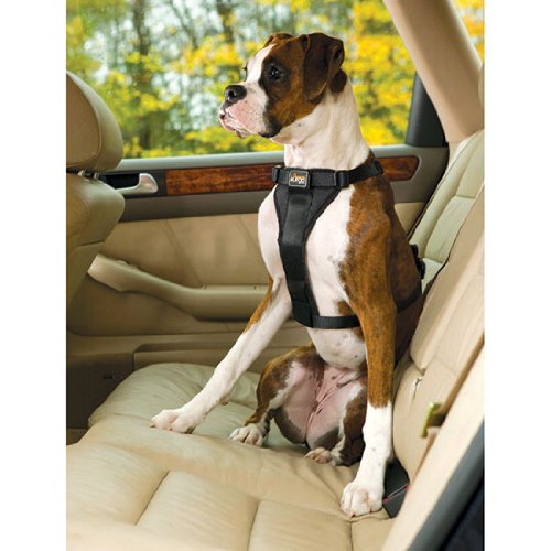 Kurgo Black Tru Fit Dual Walking Harness & Seat Belt Harness