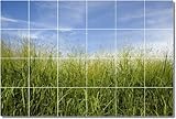 IMAGE OF Landscapes Photo Shower Tile Mural 29 | 17x25.5 using (24) 4.25x4.25 tiles