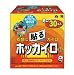 貼るホッカイロミニ 30コ入