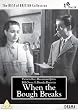 When The Bough Breaks [DVD] [1947]