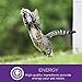 Wellness Complete Health Indoor Chicken Natural Dry Cat Food, 5-Pound Bag