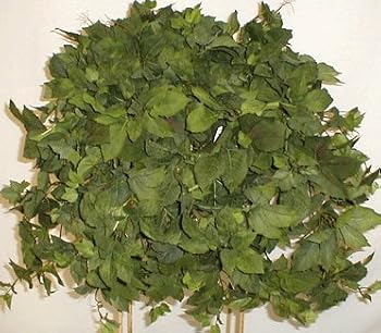 26" Maple Ivy Ledge Garden