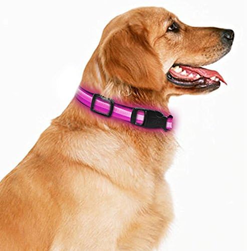 LED Dog Necklace Collar USB Rechargeable Loop Available in 4 Colors Pink Green Blue Black 3 Size For You to Choose Makes Your Dog Visible Safe &amp; Seen (S, Pink)